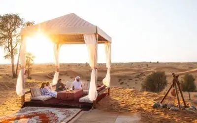 Bedouin Oasis