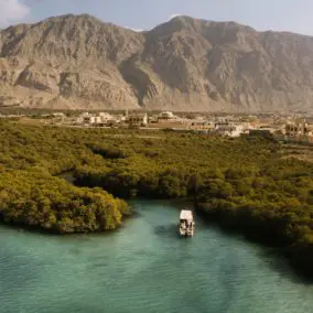 BOAT MANGROVES12