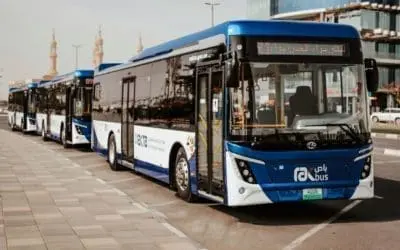 buses