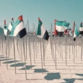 Flag