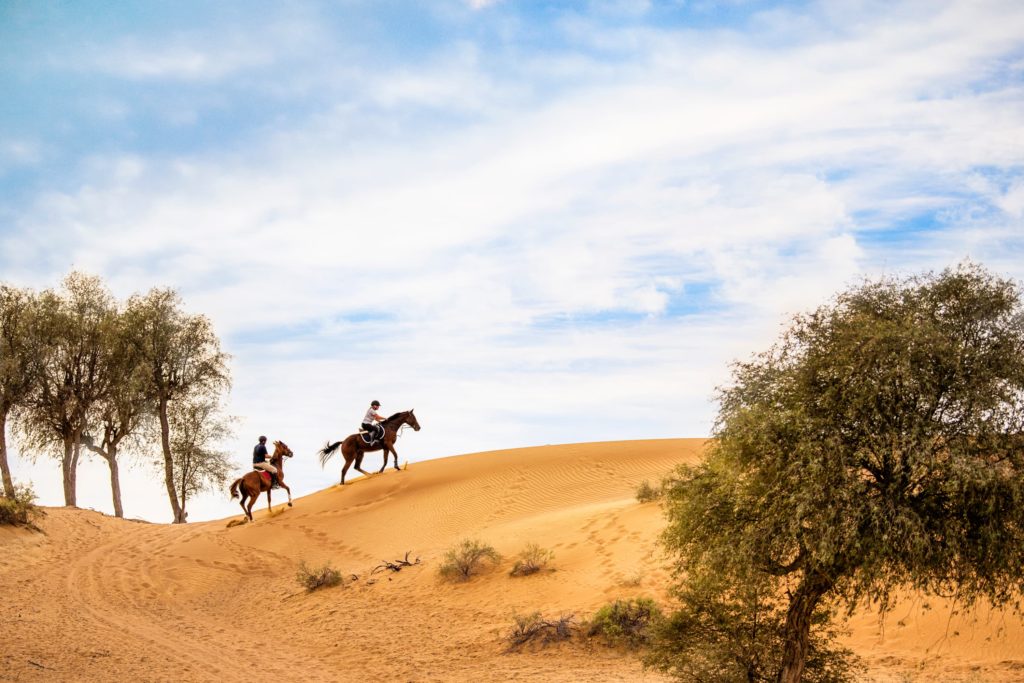 Al-Wadi-Equestrian