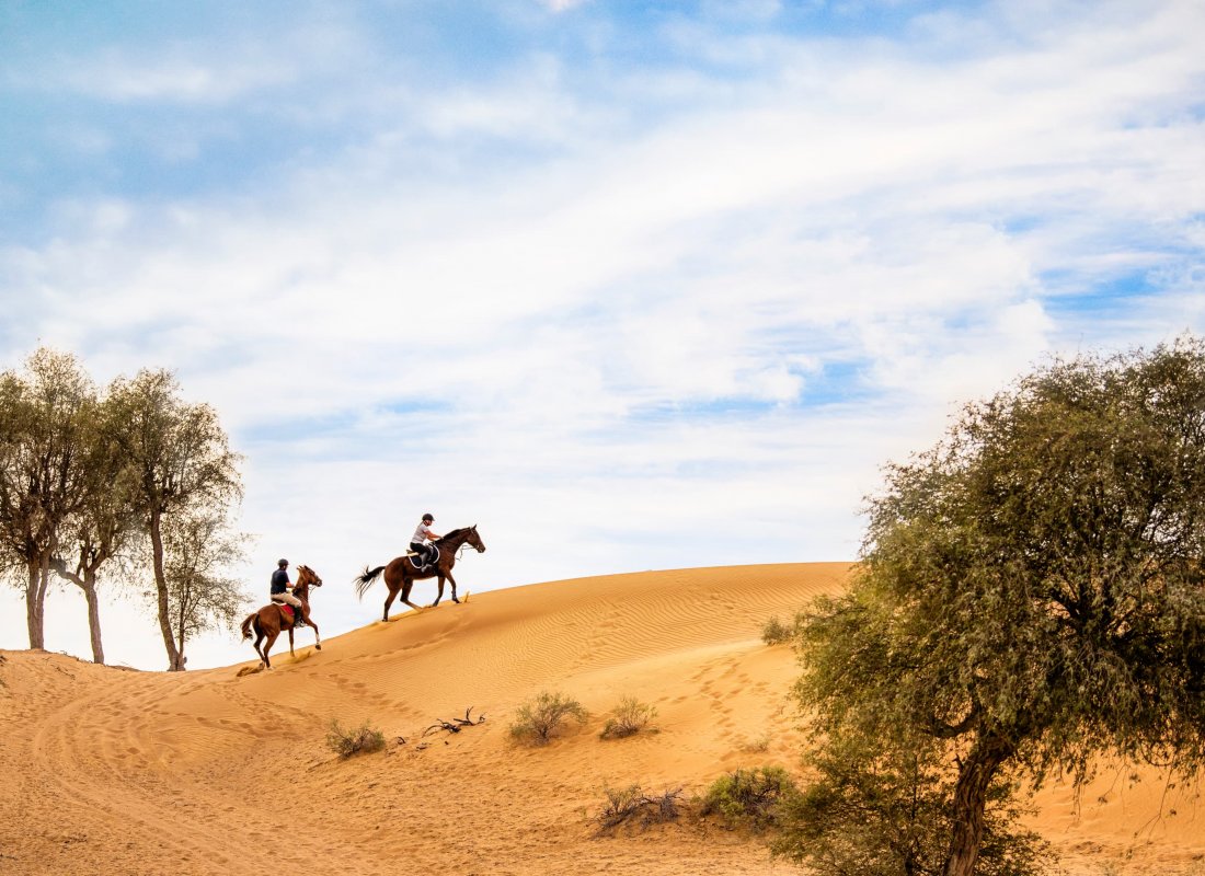 Al Wadi Equestrian Adventure Centre ras Al Khaimah
