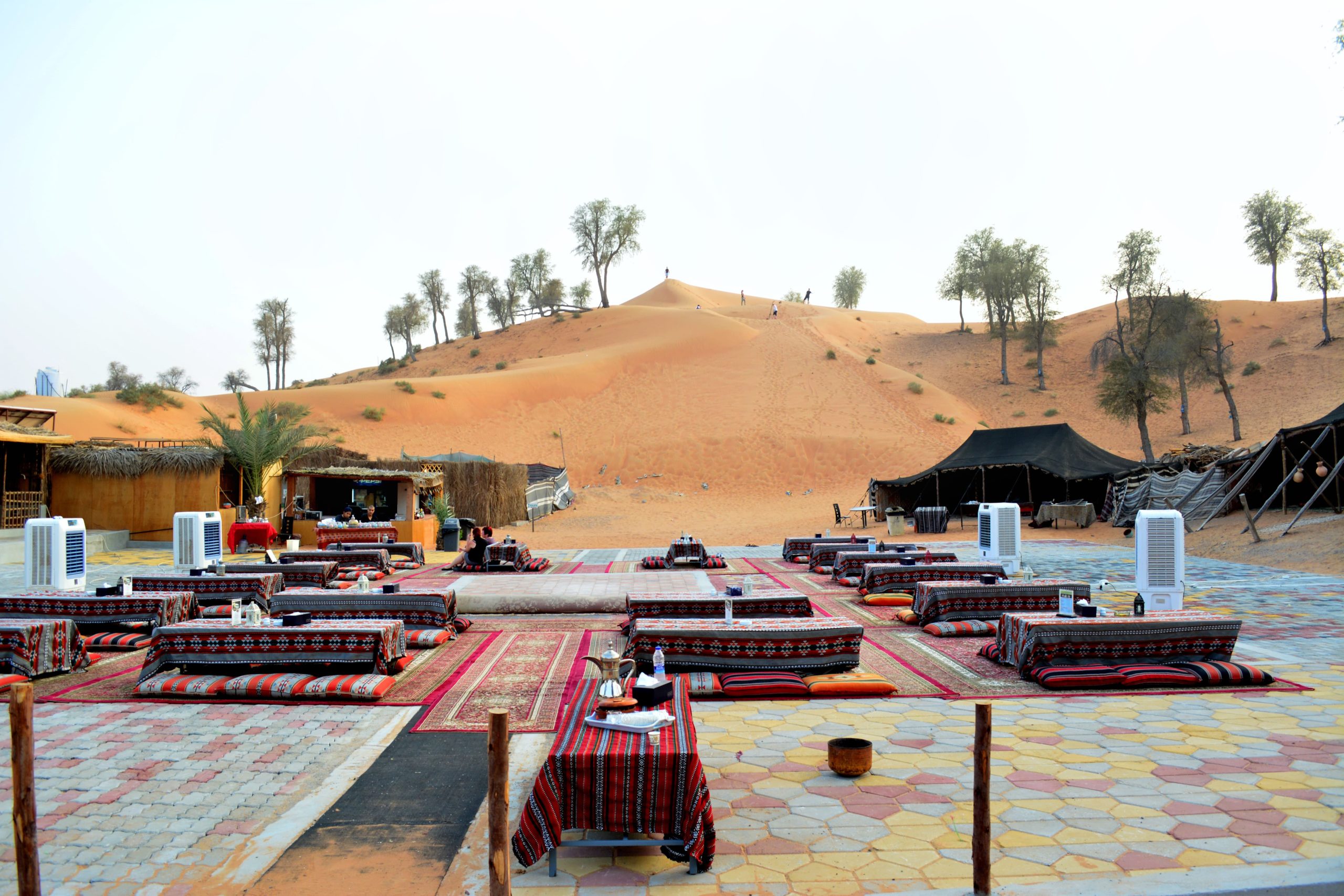 Bedouin Oasis 3-pichi