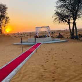 Bedouin Oasis