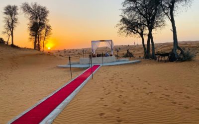 Bedouin Oasis