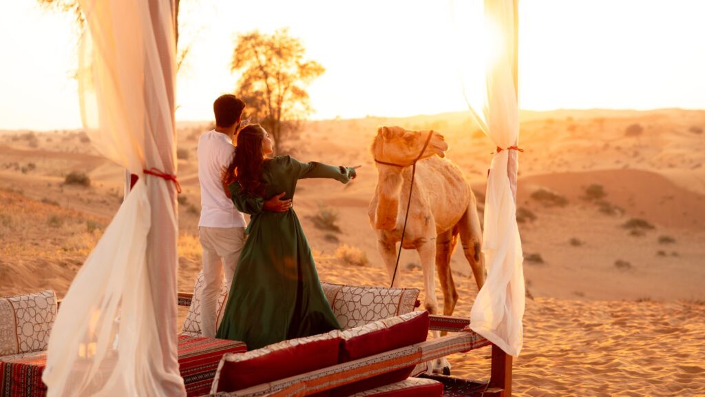 Bedouin Oasis