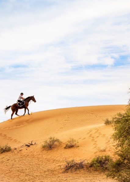 Центр конных приключений Al Wadi equestrian Adventure Centre
