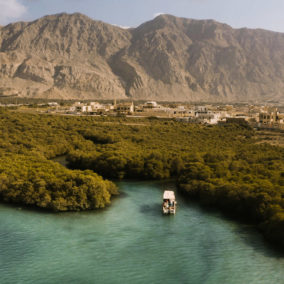BOAT MANGROVES12