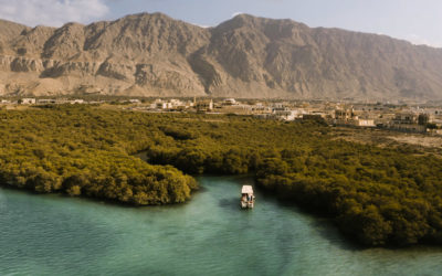 BOAT MANGROVES12