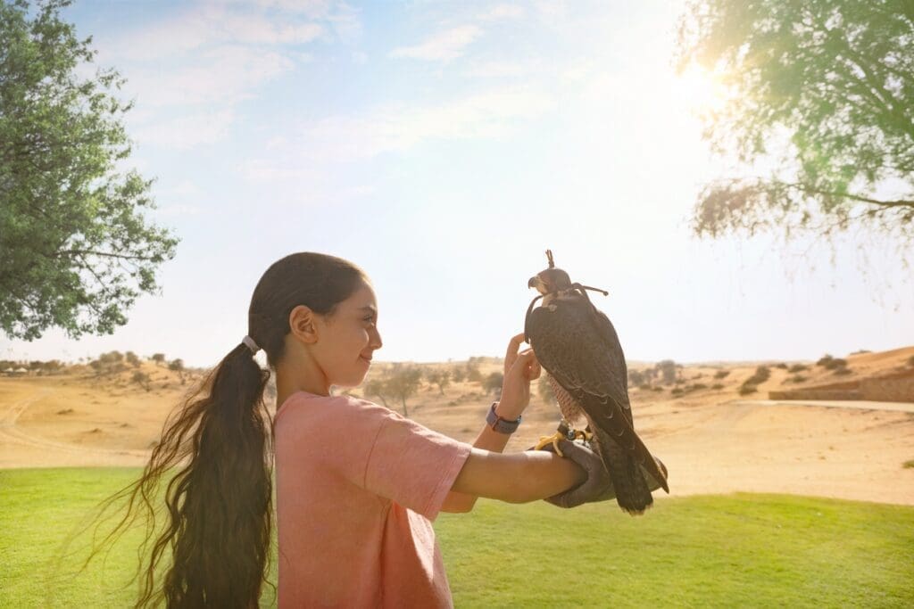 Falconry History In Ras Al Khaimah: Ancient Times To Modern UAE