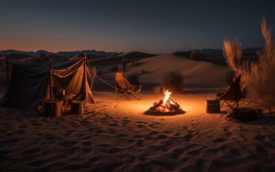 desert night