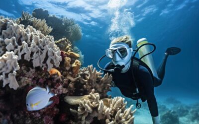 scuba