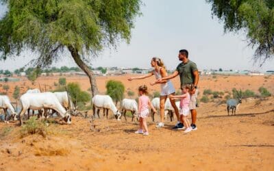 Ritz Carlton Ras Al Khaimah Al Wad