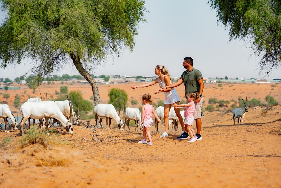 5 Bucket List Desert Experiences in Ras Al Khaimah - Visit Ras Al Khaimah